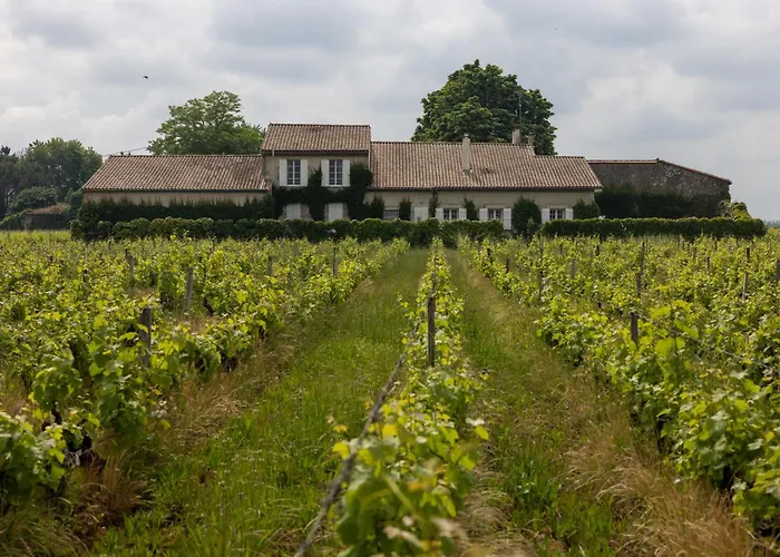Le Jardin Dans Les Vignes