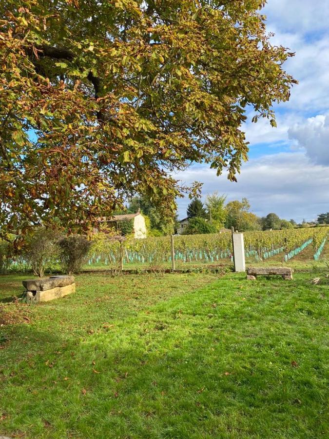 Le Jardin Dans Les Vignes Barsac (Gironde)