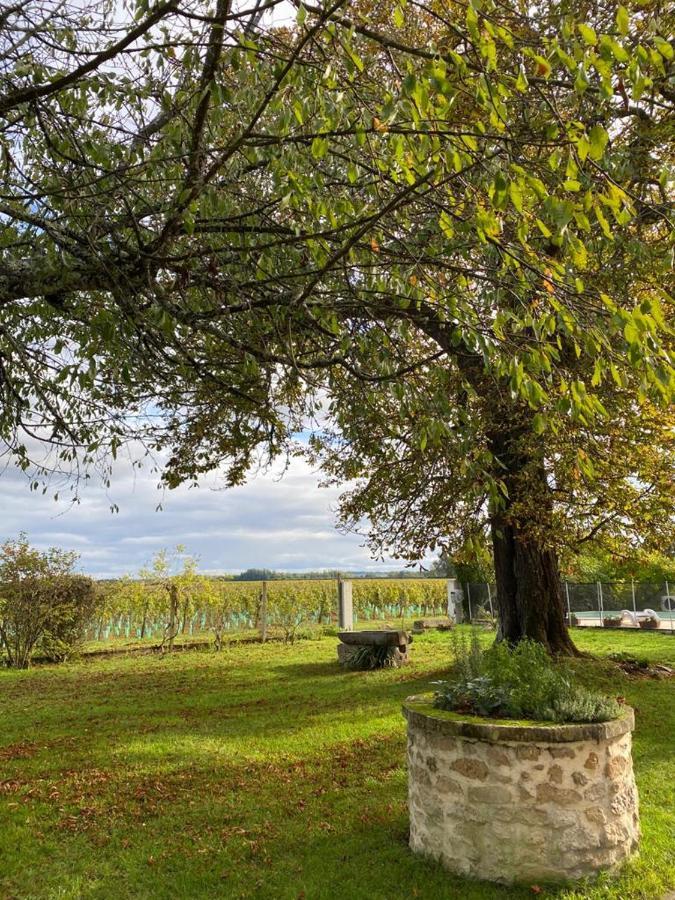 Le Jardin Dans Les Vignes Bed and breakfast