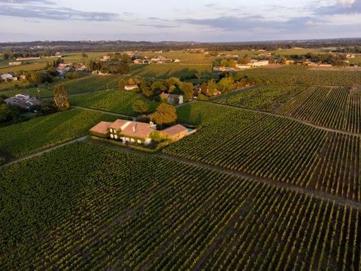Le Jardin Dans Les Vignes
