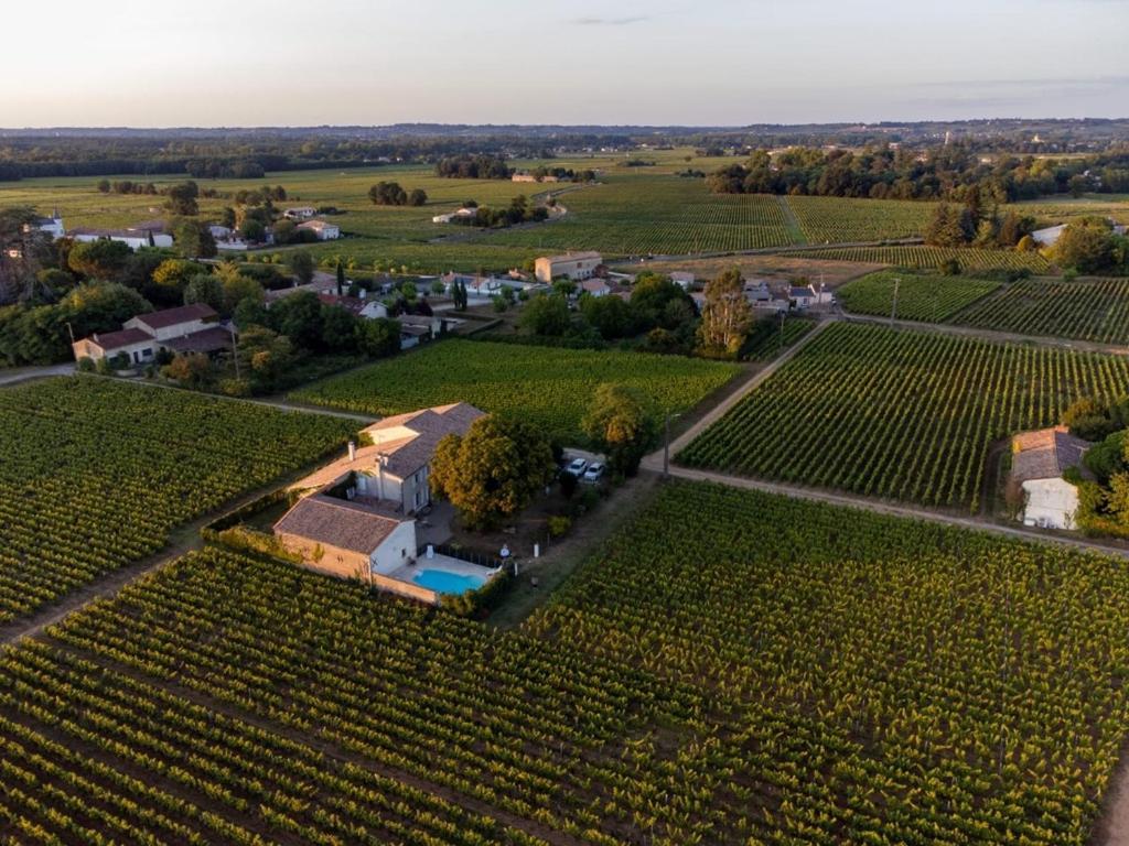 Le Jardin Dans Les Vignes