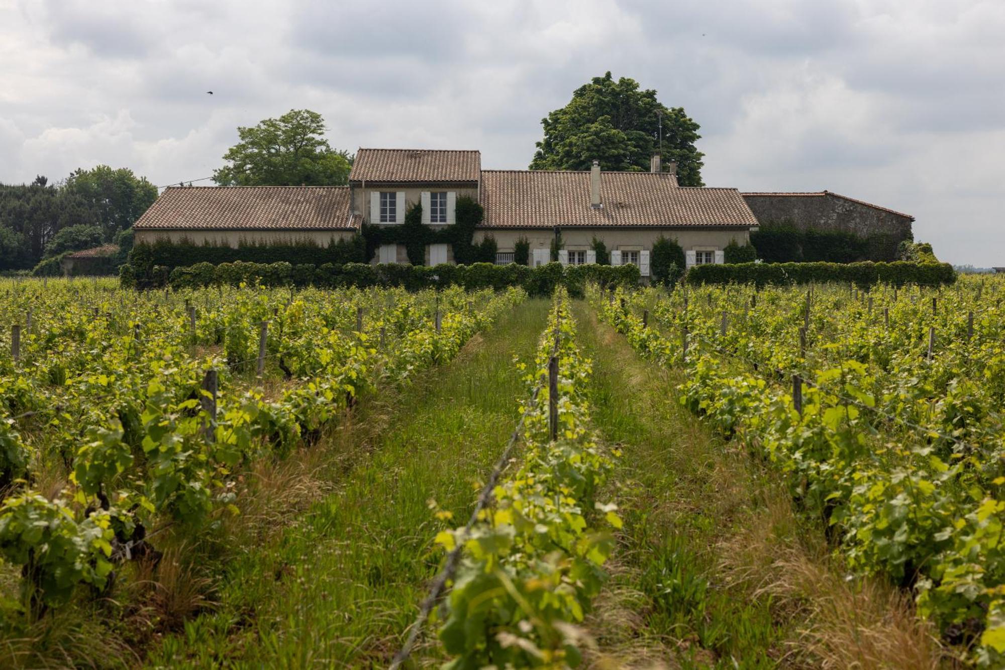 Bed and breakfast Le Jardin Dans Les Vignes Barsac (Gironde)